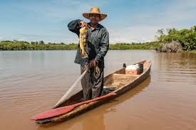 La pesca y acuicultura lideran el crecimiento del sector agropecuario en el primer trimestre de 2025