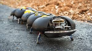 Conozca más sobre los robots insectos para el control de malezas en la agricultura