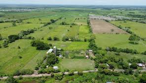 Ministerio de Agricultura y la FAO firman convenio para beneficio de familias campesinas