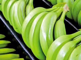Las lluvias están mejorando poco a poco la producción bananera en este primer trimestre
