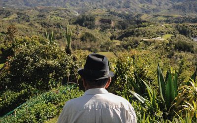 MinAgricultura abre la convocatoria “Sembrando Alianzas para la Vida” del Proyecto de Apoyo de Alianzas Productivas, año 2025
