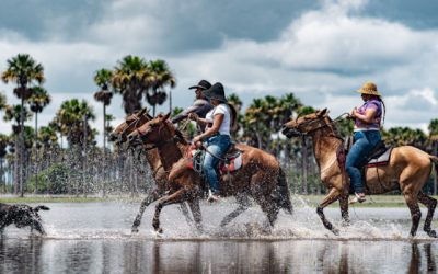 Proteger el suelo rural: un paso clave contra la inseguridad alimentaria