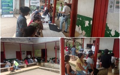El Quindío fortalece la sanidad agropecuaria con estrategia de extensión sanitaria y fitosanitaria junto a la comunidad indígena Davhinavedrua en Pijao