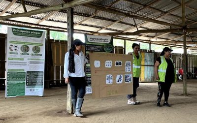 En las chagras el ICA fomenta una producción agrícola segura, sostenible y de calidad