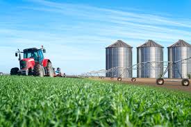 Sector primario, clave para el futuro sostenible de la agricultura en Colombia y Latinoamérica