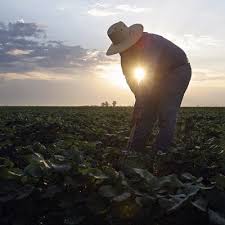 MinAgricultura habilita $180 mil millones para subsidiar tasas de interés y entregar incentivos para la inversión en el campo