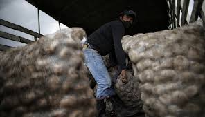 Desde Boyacá se expone la problemática que están viviendo papicultores actualmente