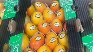Colfrutta: la empresa que endulza el mundo con el mango de azúcar colombiano
