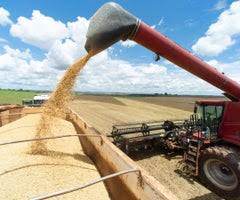 La venta de soja en Argentina se duplica debido al próximo aumento impuesto