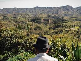 Ministerio de Agricultura afirmó que Colombia será sede del Foro Global de la Tierra 2025