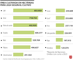 En Colombia hay más hojas de coca sembradas que de papas, yucas y hortalizas
