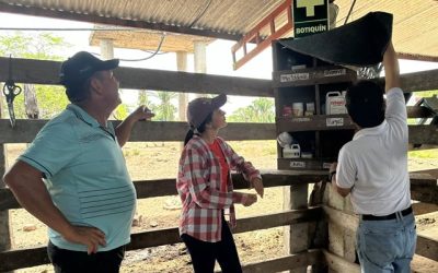 Certificación en Buenas Prácticas Ganaderas: un paso firme hacia un campo sano, productivo y competitivo
