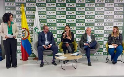 Colombia conquista 11 mercados internacionales para exportación de huevo y pollo