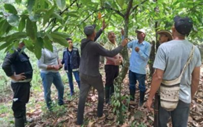 El ICA fortalece la sanidad vegetal en La Guajira.