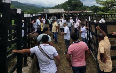 En La Guajira empezamos a cuidar mejor a nuestros animales: transportadores se forman en bienestar animal