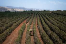 El diálogo virtual Inserción Financiera de las Organizaciones de la Agricultura Familiar