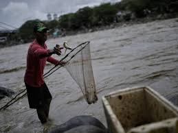La pesca artesanal de Colombia recibió el máximo reconocimiento de la FAO por sus prácticas