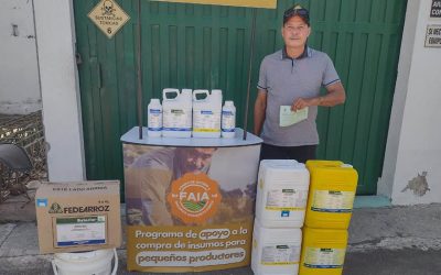 Programa FAIA para arroceros ha ejecutado $1.990 millones en 45 días