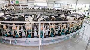 La tecnología lechera de GEA impulsa la productividad en Latinoamérica
