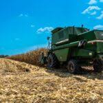 Producción de cereales, leguminosas y soya en el país no alcanza para cubrir la demanda nacional