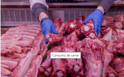 Precios mundiales de los alimentos aumentaron 1,6% en julio por alza de la carne y aceites vegetales