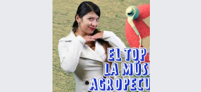 Este es el top 5 de la música popular cantada por mujeres, para gritarlas a todo pulmón