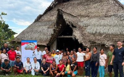 En el Amazonas prevenimos la resistencia antimicrobiana en las producciones avícolas