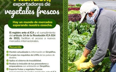 La normatividad ICA aliada para la exportación de vegetales frescos
