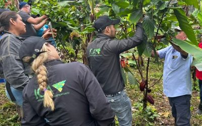 El ICA fortalece capacidades técnicas para el sector cacaotero en San Vicente del Caguán