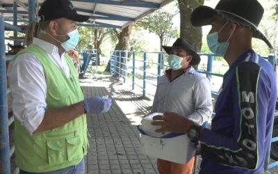 El ICA atiende brotes de rabia de origen silvestre y encefalitis equina del este en Casanare