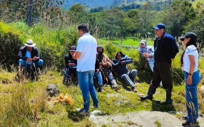 Desde el corazón del Cauca: el campo impulsa mercados sostenibles, sabores con historia y futuro para la paz