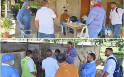 Simulacro en La Guajira: así se entrena el ICA para proteger la salud de los animales