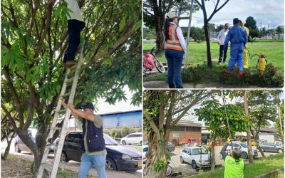 El ICA realizó brigada fitosanitaria para contribuir a la buena cosecha de frutas en el Meta