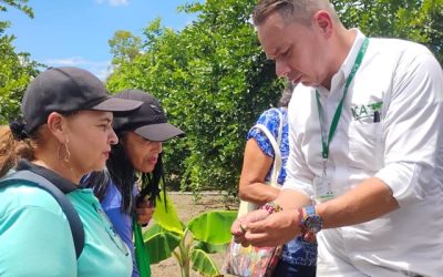 El ICA fortalece a pequeños citricultores de Andalucía para evitar el ingreso del HLB al Valle del Cauca