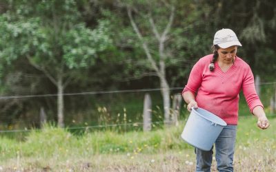 MinAgricultura lanza salvavidas a productores afectados por fenómenos climáticos o caídas en sus ingresos para acceder a subsidios a la tasa de interés y reactivar proyectos