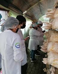 La Agencia de Desarrollo Rural impulsó el tercer encuentro nacional de fungicultores