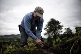 Se aprobó una nueva inversión de $28.000 millones para pequeños agricultores del país