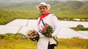 Florius, la empresa que lleva flores colombianas a Estados Unidos y otros países