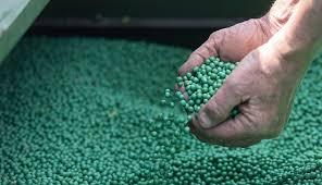 Colombia inicia temporada clave de siembras con un llamado urgente a usar semillas certificadas