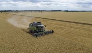 Fabricantes de tractores advierten que los aranceles aumentarán los precios de la maquinaria para los agricultores globales