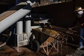 Tostadores estadounidenses rechazan café de Brasil por entrada en vigor de aranceles