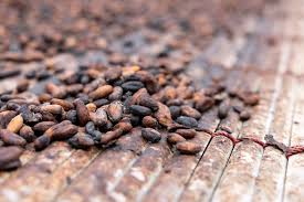 Futuros del cacao suben por la preocupación por la debilidad de las cosechas en África