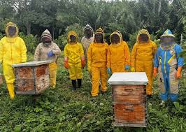 Nuevo plazo de convocatoria Alianzas Productivas para 2025 para pequeños productores