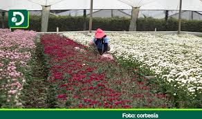 Exportaciones del agro en junio de 2025 aumentaron 35% con respecto al mismo mes del año anterior