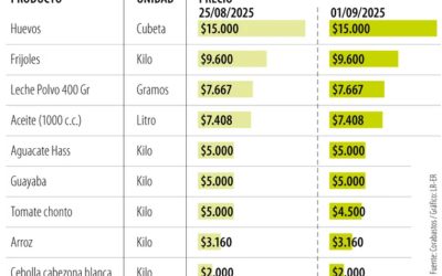 Septiembre inicia con una caída de $500 en el precio del kilo de tomate chonto
