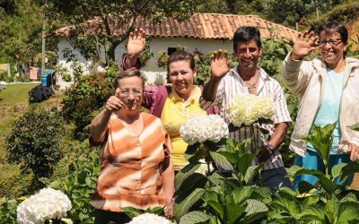 Corte Constitucional avala la creación de la Jurisdicción Agraria y Rural, con ajustes clave para su implementación.