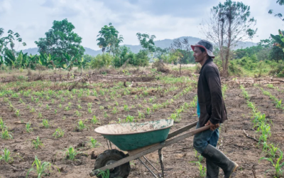 Agricultura campesina logra acuerdos comerciales por más de 20 toneladas mensuales en Expo Osaka 2025