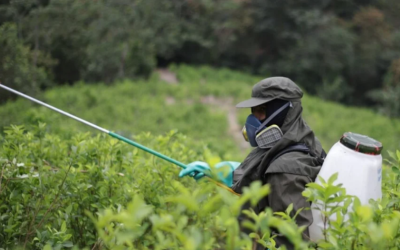 Gobierno propone erradicación manual de cultivos ilícitos con GME en 11 zonas del país