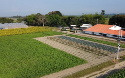 Bayer impulsa la Agricultura Regenerativa como solución a los desafíos globales