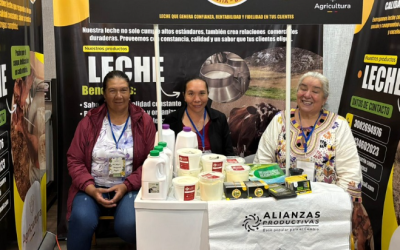 Más de 11 mil familias campesinas fortalecen sus capacidades comerciales y administrativas, de la mano del MinAgricultura